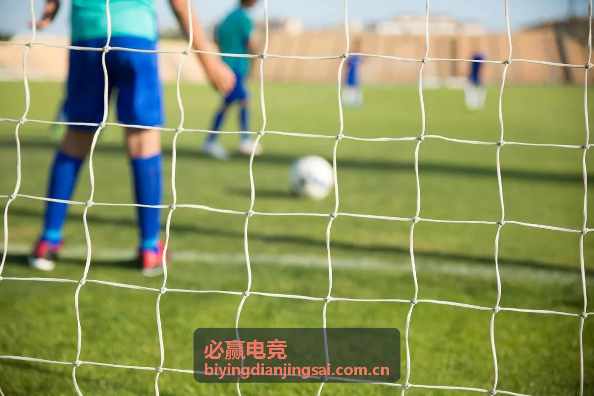 必赢电竞定制分析